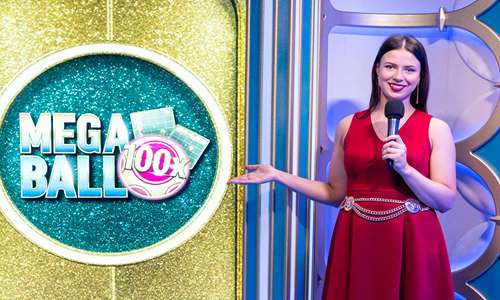 9games bingo em casa cassino Terminal móvel